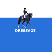Dressage