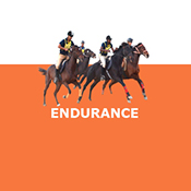 Endurance